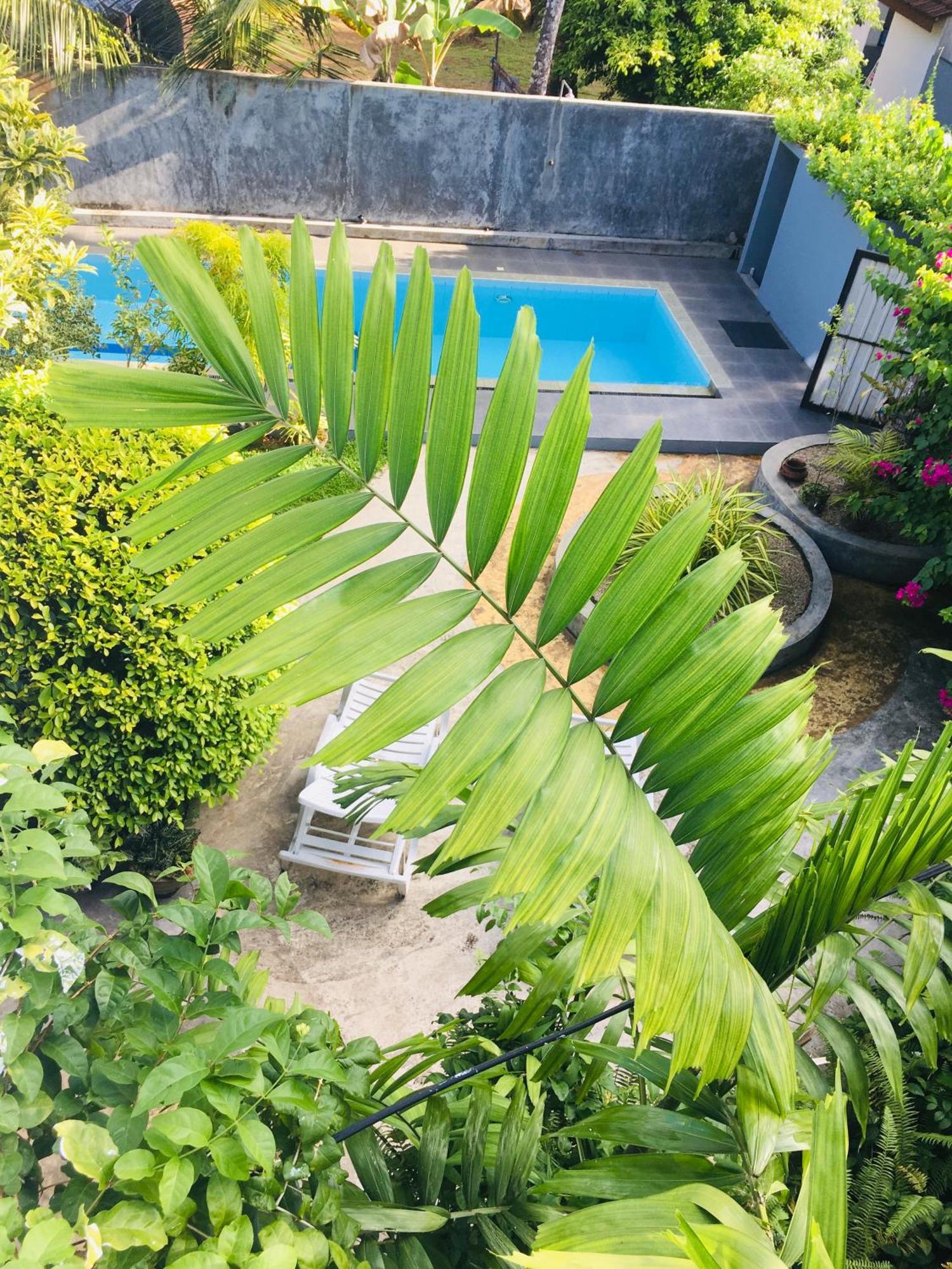 Om Villa Хикадува Екстериор снимка