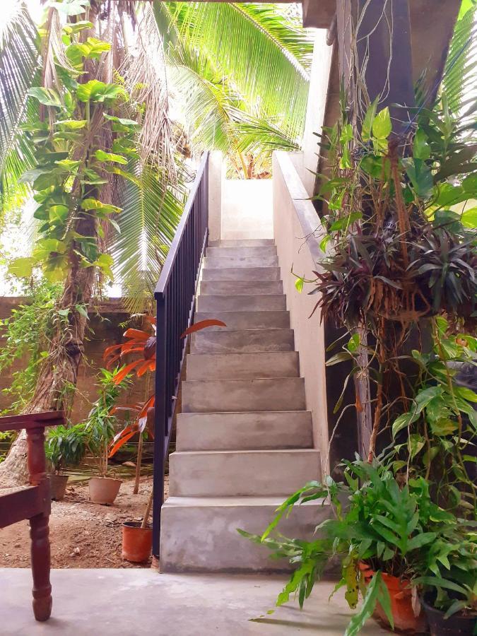 Om Villa Хикадува Екстериор снимка